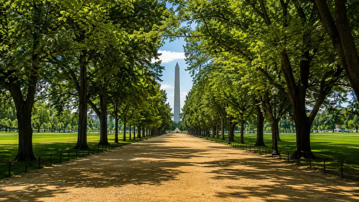 The paths along the National Mall between the Washington Monument and the Lincoln Memorial
